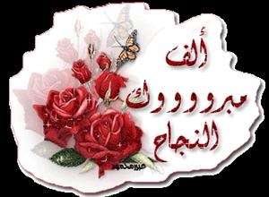 نسبة النجاح في تكميلية التوجيهي 63.6% لجيل 2008 و60% لجيل 2007