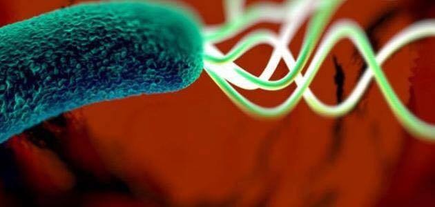 أعراض جرثومة المعدة بالتفصيل ويب طب
