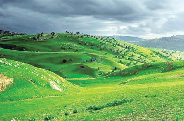 الخميس .. ارتفاع قليل على الحرارة وأجواء باردة