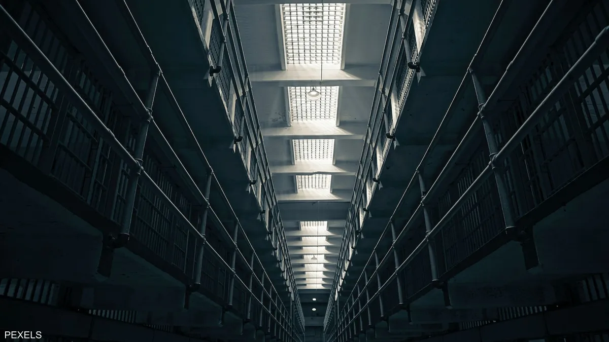 طارد للطيور وقاتل للبشر.. مصري يخترع جهازا يقوده للسجن